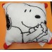 Cozy Small Pillow Decor