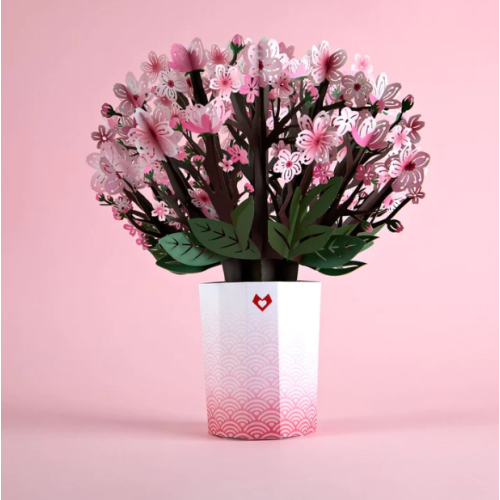 Cherry Blossom Bouquet 2 pack