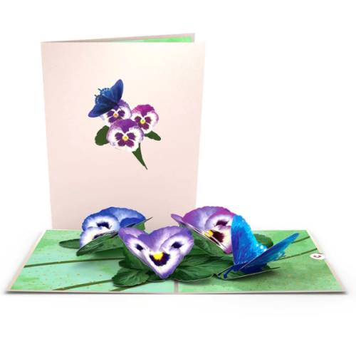 Pansies Pop-Up Card 2 pack