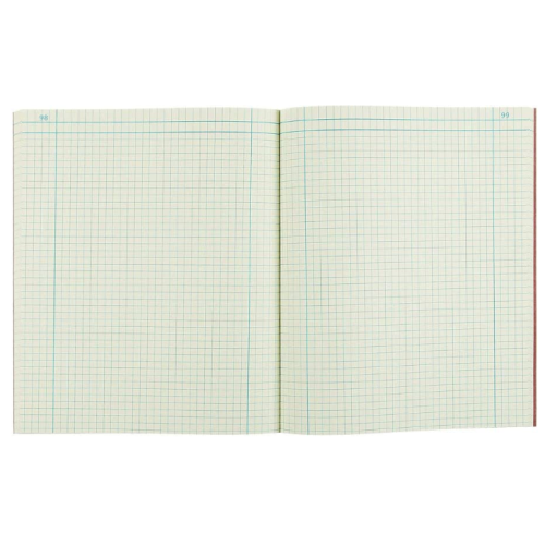 National Brand Computation Notebook, 4 X 4 Quad, Brown, Green Paper, 11.75 x 9.25 Inches, 75 Sheets