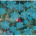 30 pcs Plastic Blue Snowflake Ornaments Christmas Winter Decorations, Hanging Snowflake Decorations for Winter Wonderland Christmas Tree 2 Pack