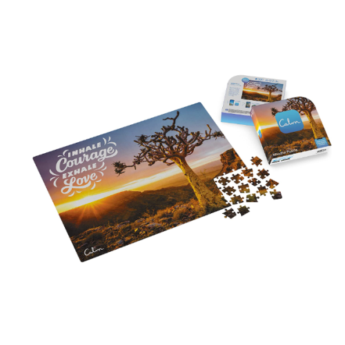 300-Piece Calm Jigsaw Puzzle for Relaxation, Stress Relief, and Mood Elevation, for Adults and Kids Ages 8 and up, Quiver Tree