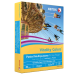 Xerox® Vitality Colors™ Multipurpose Printer Paper, Letter Paper Size, 20 Lb, 30% Recycled, Goldenrod, Ream Of 500 Sheets