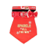 Pet Sparkle All The Way" Red Bandana & Collar Set