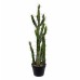 Artificial Cactus Plant in Pot Union Rustic