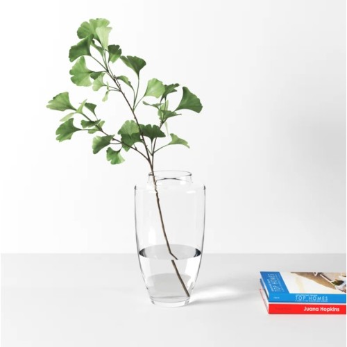 AllModern Gatlin Transparent Glass Table Vase 12" H x 7" W x 7" D