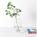 AllModern Gatlin Transparent Glass Table Vase 12" H x 7" W x 7" D