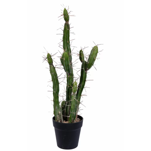 Artificial Cactus Plant in Pot 34" Inch