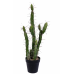 Artificial Cactus Plant in Pot 34" Inch