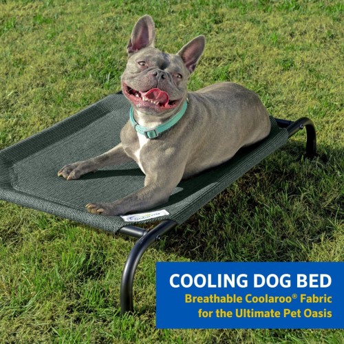 Coolaroo The Original Cooling Elevated Dog Bed, Indoor and Outdoor, Large, Nutmeg