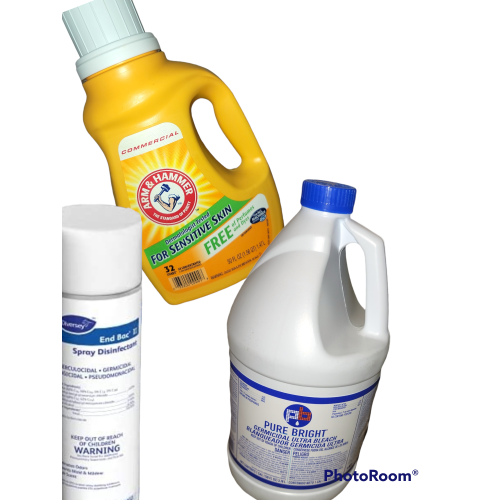 End Bac II Disinfectant and Commercial Arm & Hammer Free Laundry Detergent  + Pure Bright industrial Bleach gallon 