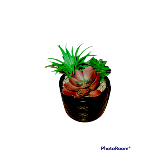 Small faux succulents decorative black ceramic planter