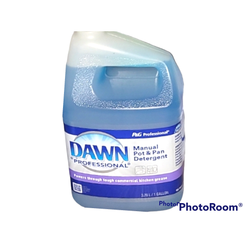 1 gallon Dawn Professional Pot and Pan