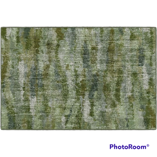 Brumlow Mills Rustic Abstract Bohemian Area RugContemporary Colorful Print Pattern Area Rug for Living Room Decor, Dining, Kitchen Rugs, Bedroom or Entryway Rug, 3'4" x 5', Green