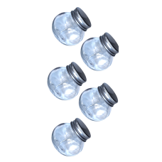 Mini Glass Container with Tin Screw On Lid - 5 pack